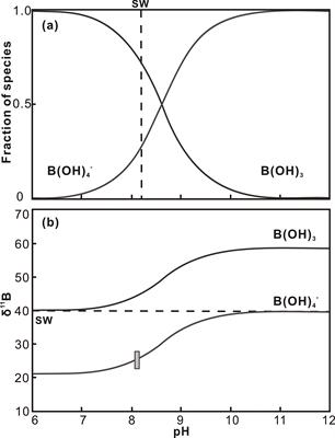 Ocean acidification in the Western Pacific: Boron isotopic composition recorded in a tropical massive coral core from Lanyu Islet SE Taiwan